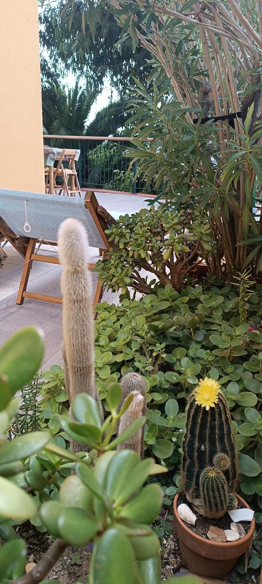 Casa Di Claude Con Posto Auto Apartment Finale Ligure Luaran gambar